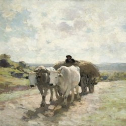 Clear road with farmer and cattle